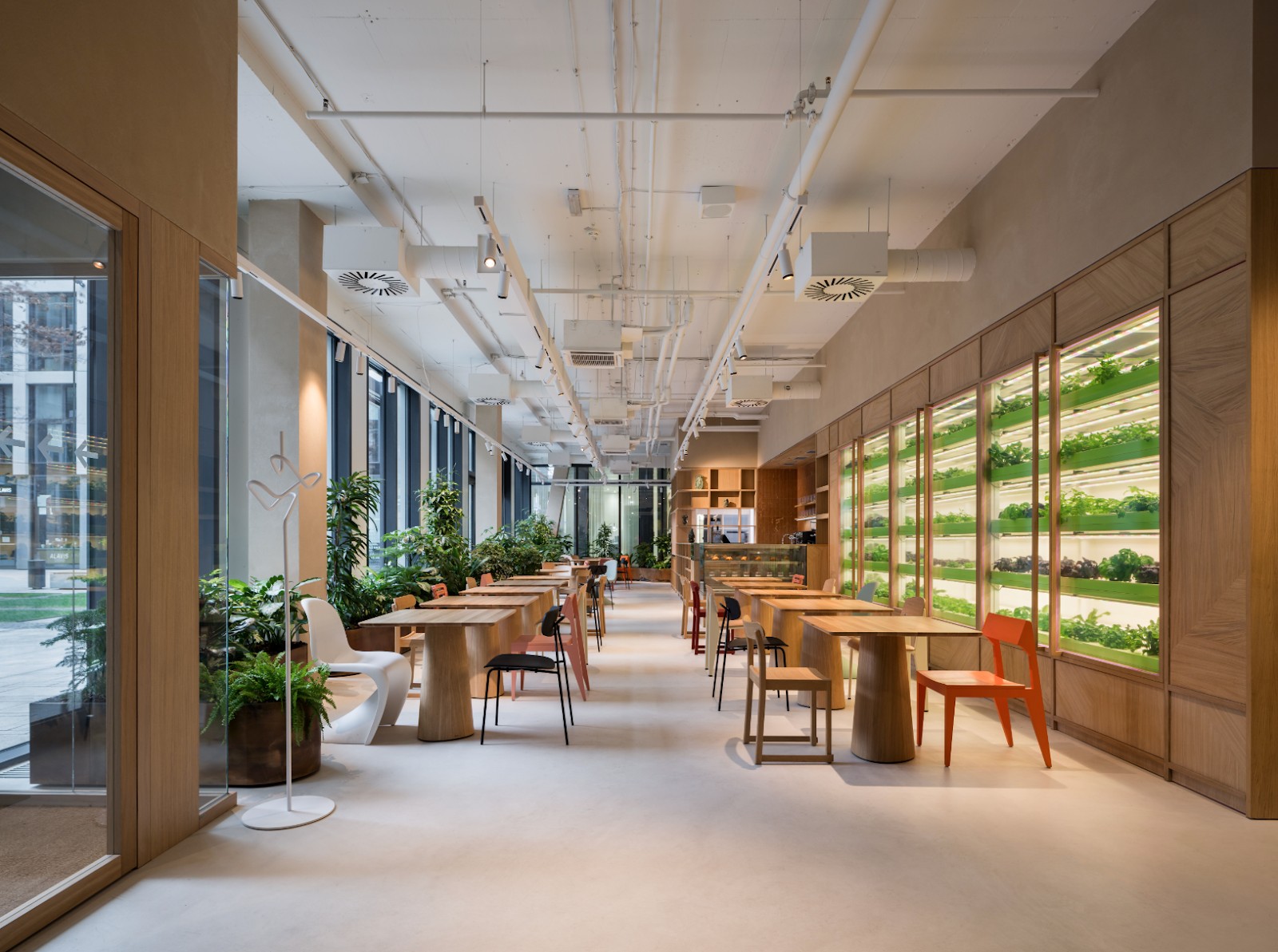 Green Table: the place