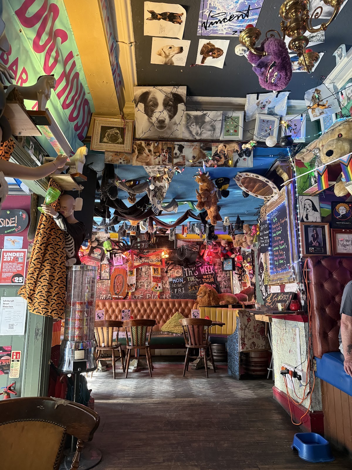 The Happy Fish: the place
