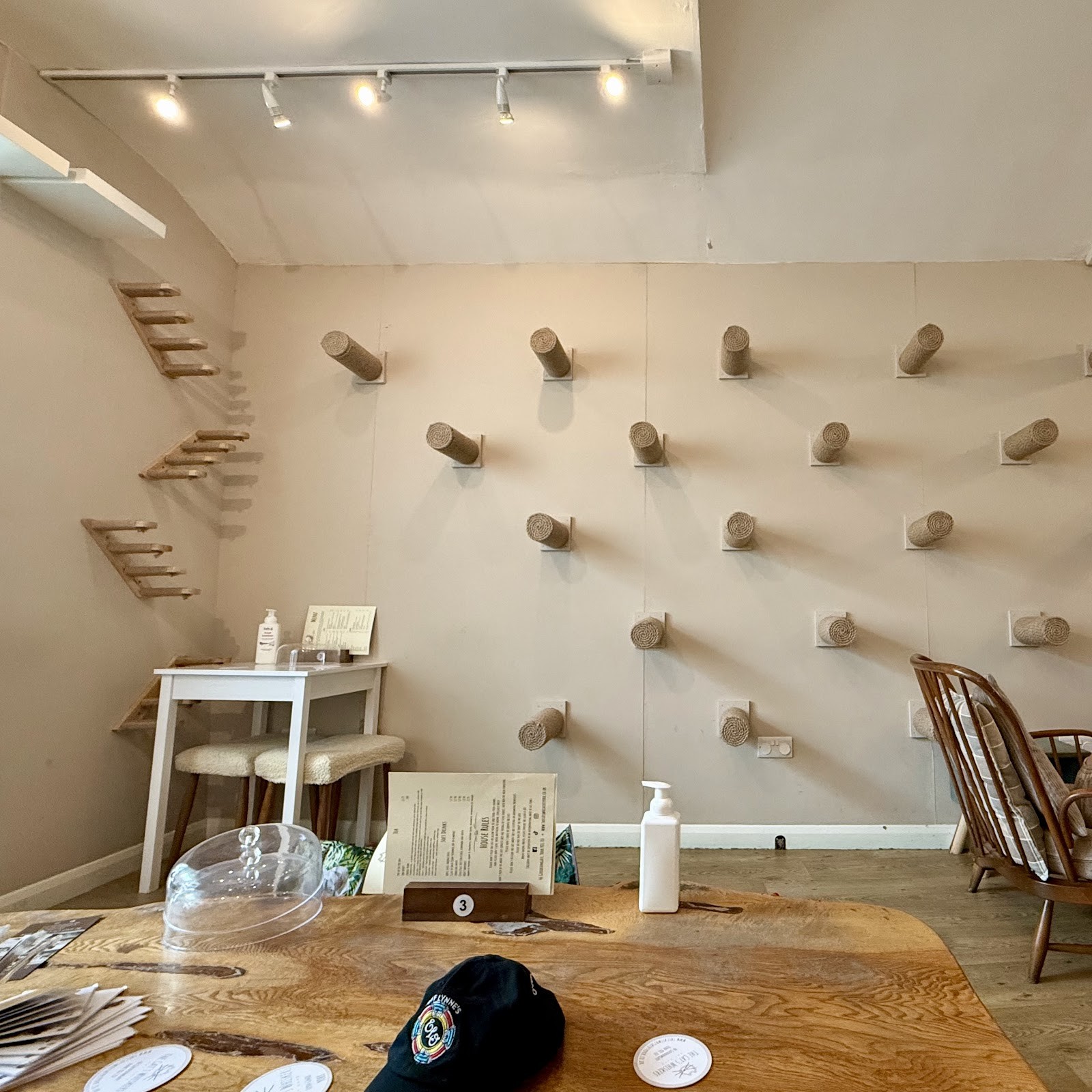 The Cat's Whiskers: the place
