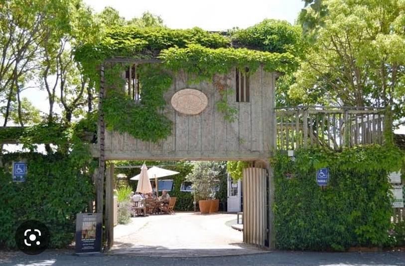 Cafe Nectar: the place