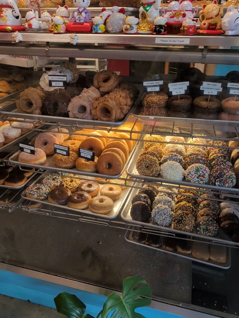 Delicious Donuts: the place