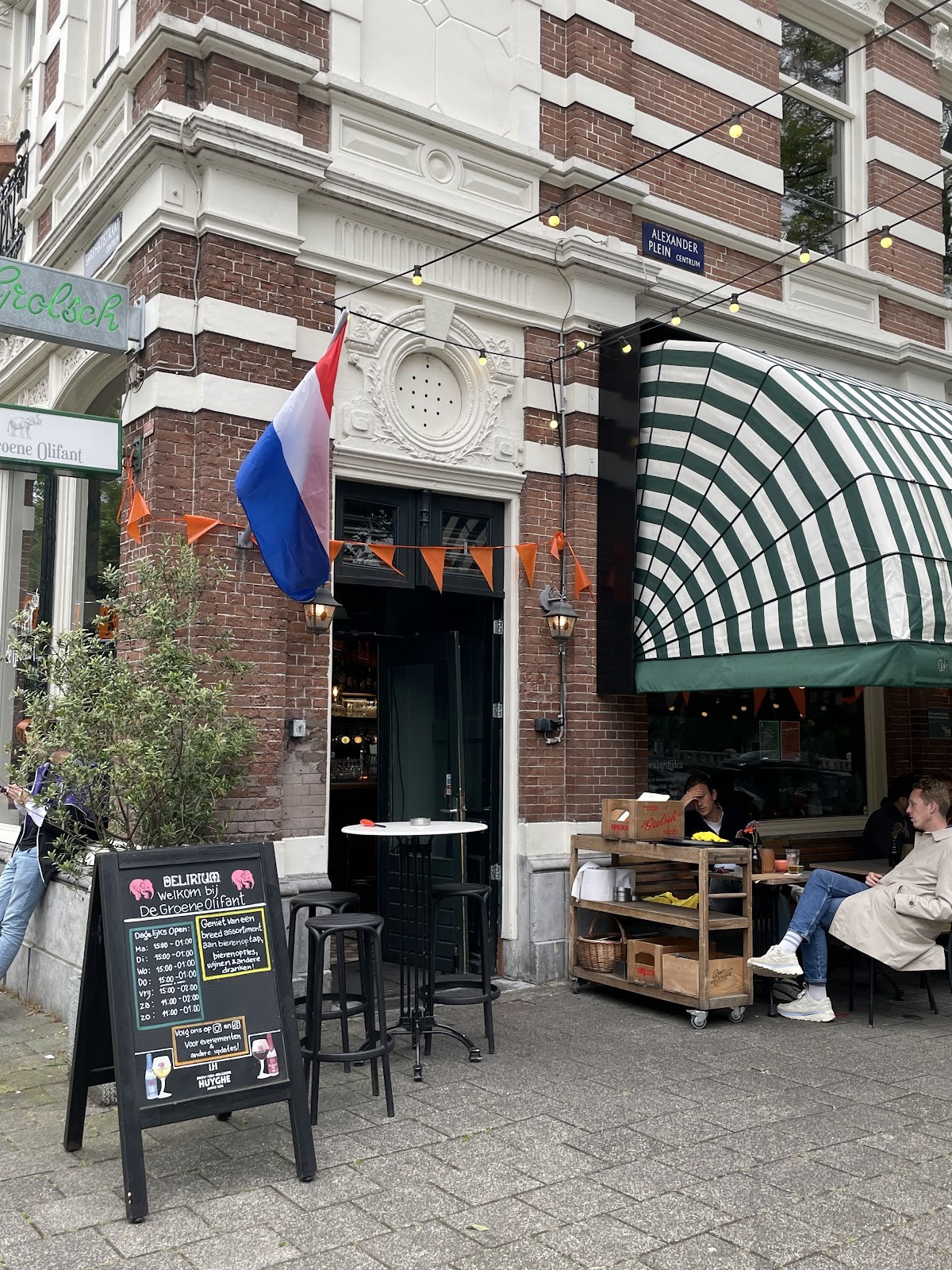 De groene olifant: the place