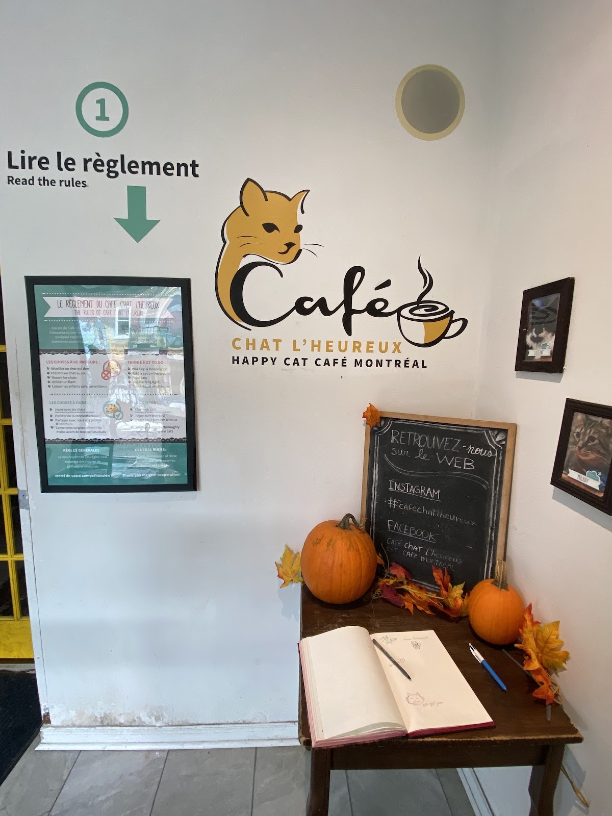 Happy Cat Cafe: the place