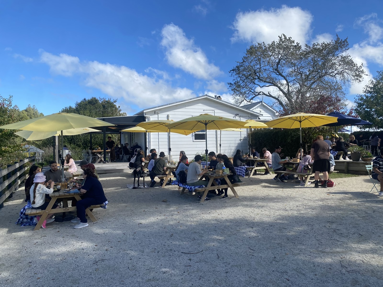 The Farmhouse: the place