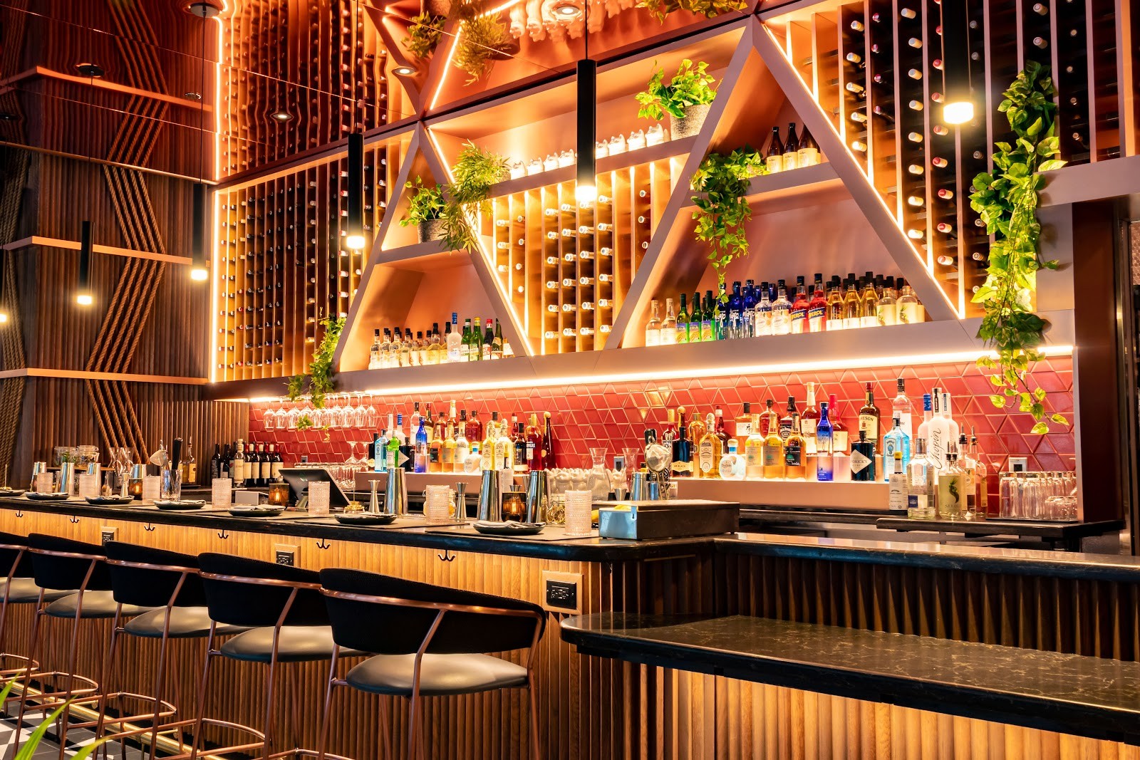 Planta Queen: the place