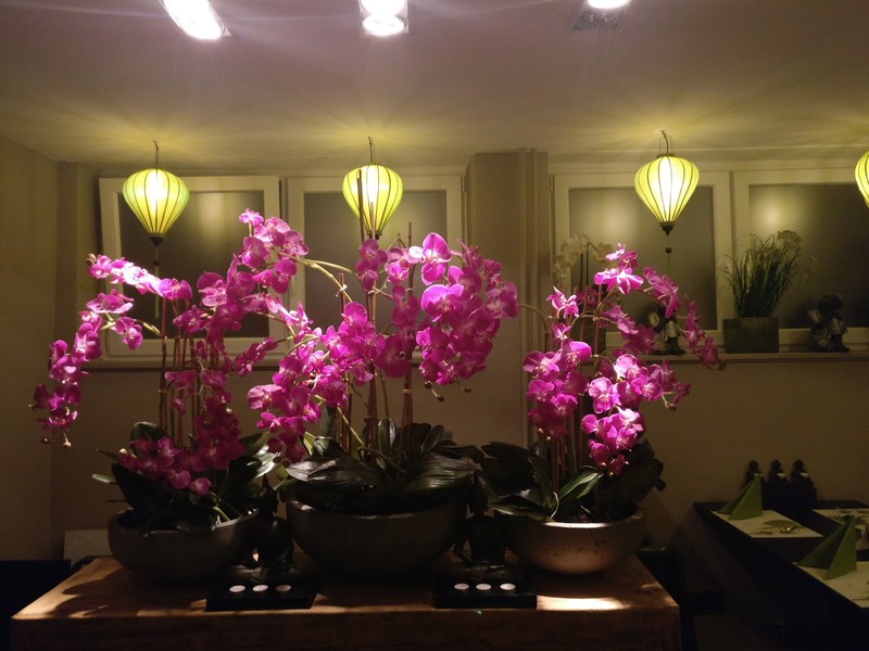 An Khang Restaurant - Vietnamesisches Restaurant Hamburg: photo 4