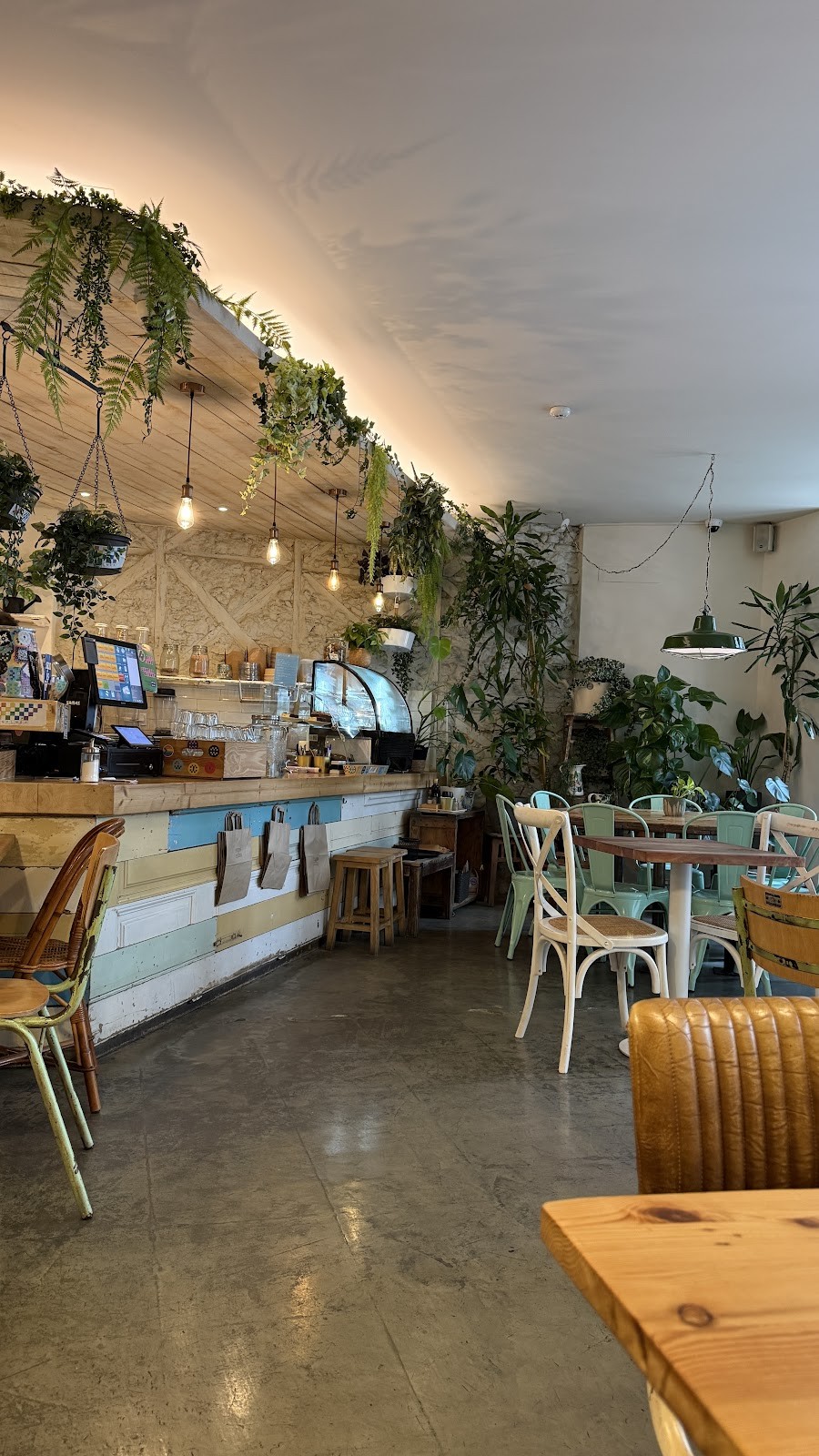 Fauna & Flora - Santos: the place