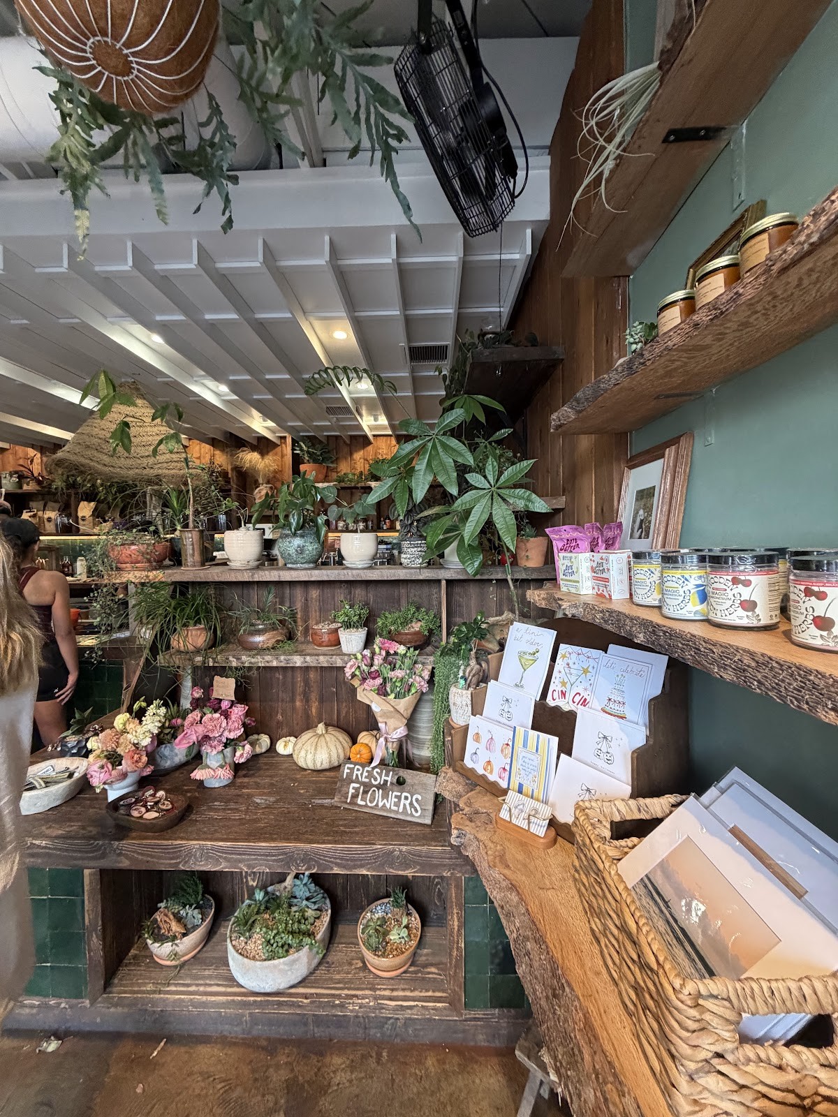 The Barista Botanist: the place