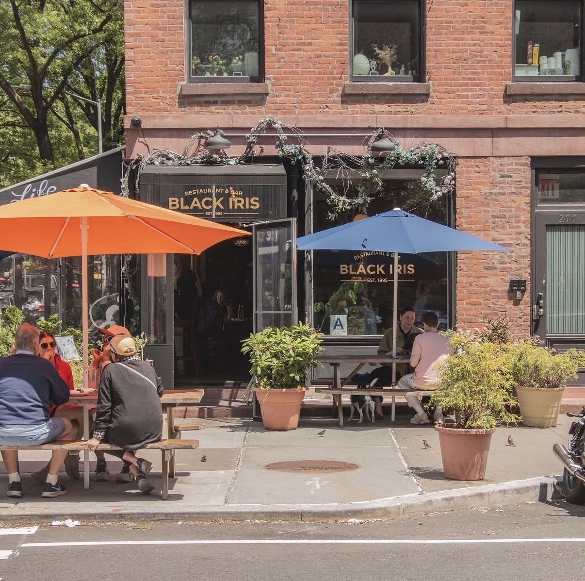 Black Iris: the place