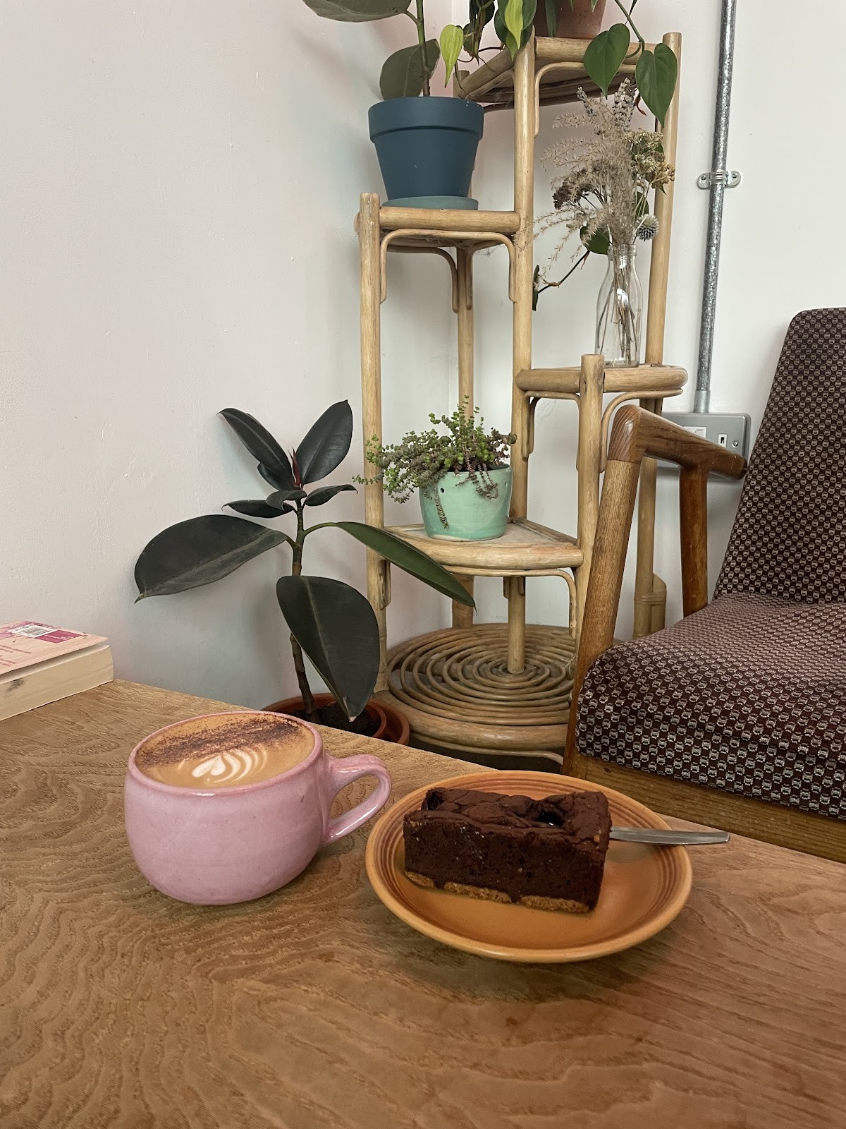 Albatross Café: the place
