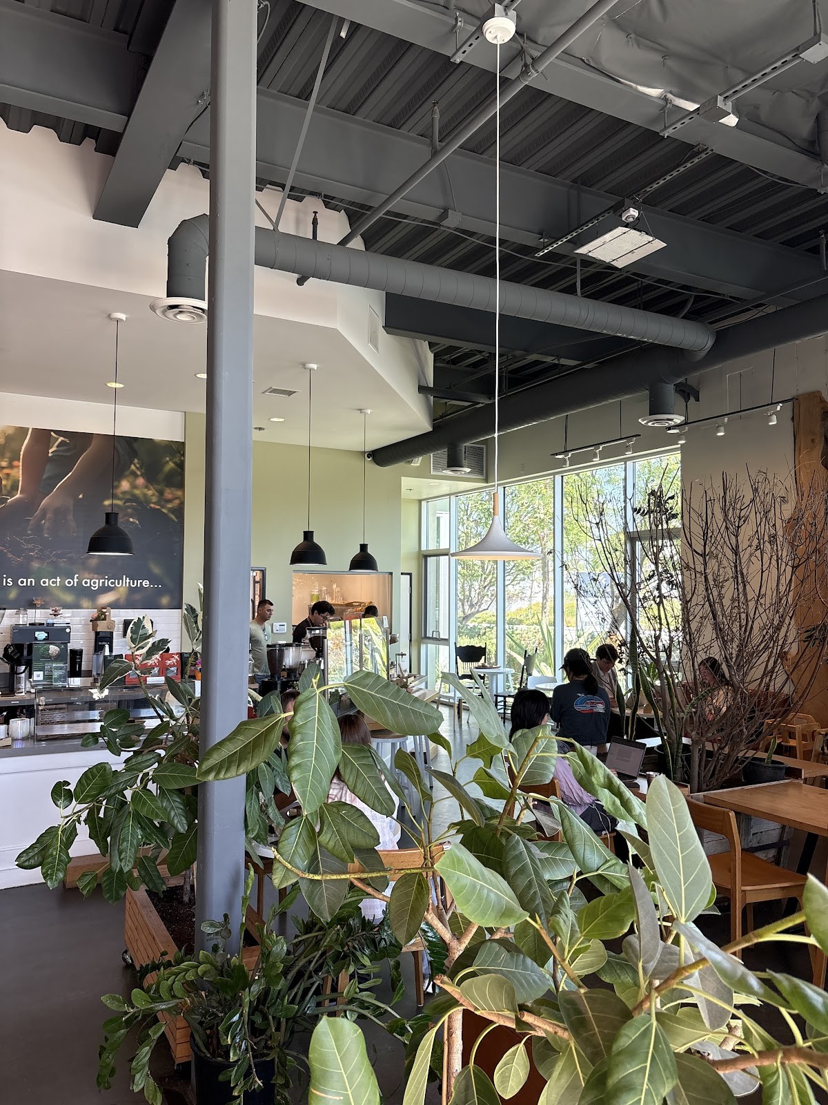 Dot Cafe: the place