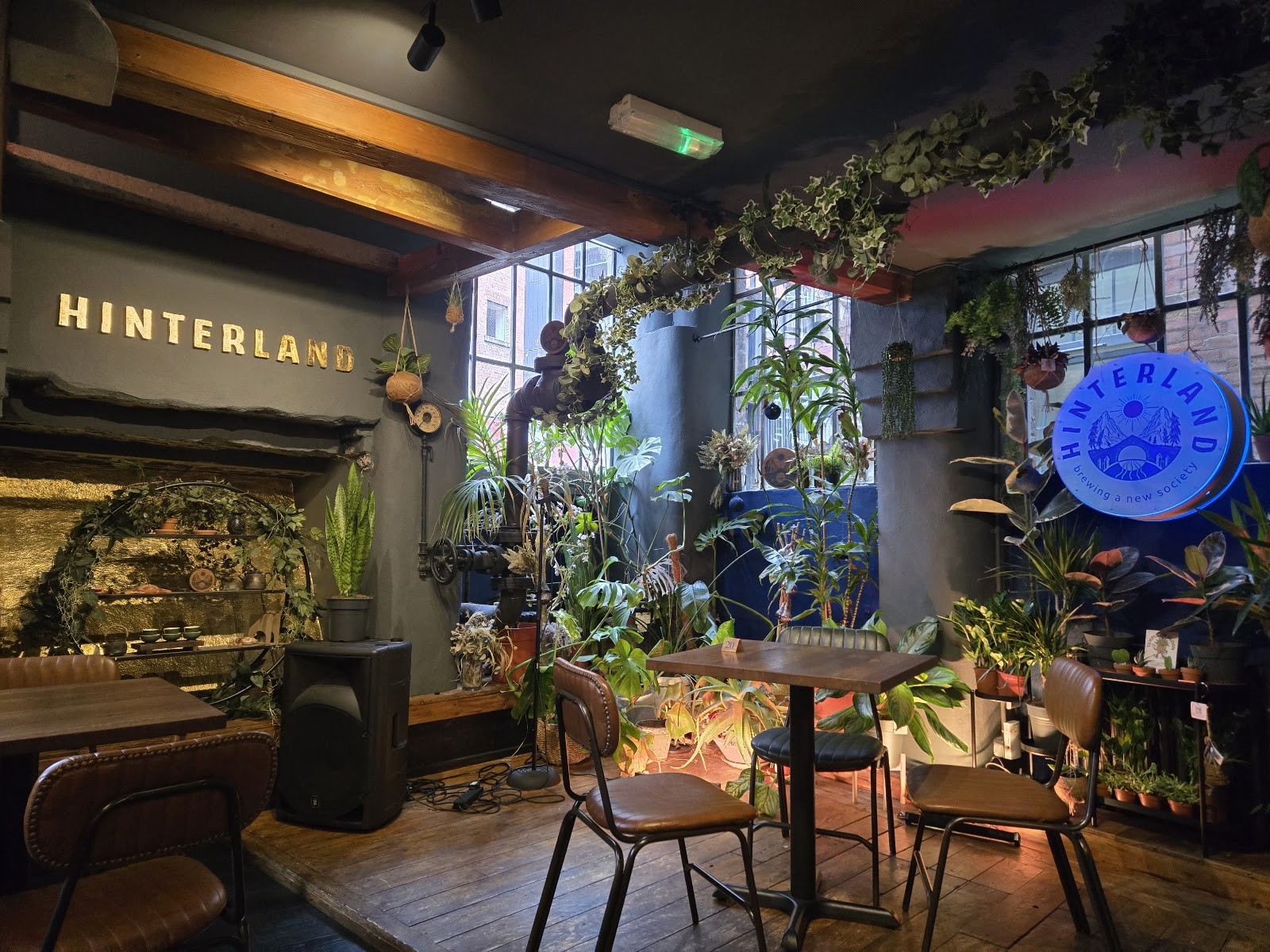 Hinterland Alcohol-Free Bar and Cafe: the place