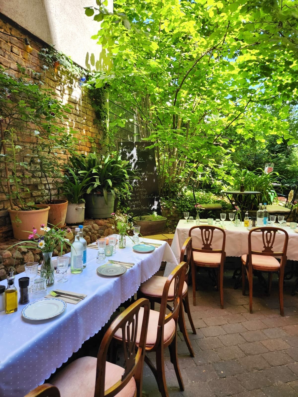 Café Botanico: the place