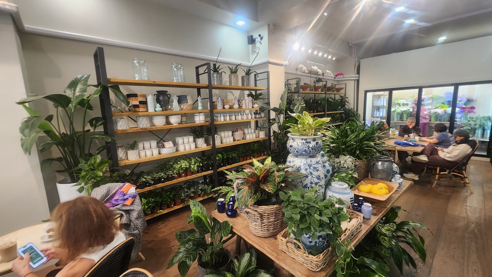 PlantShed: the place