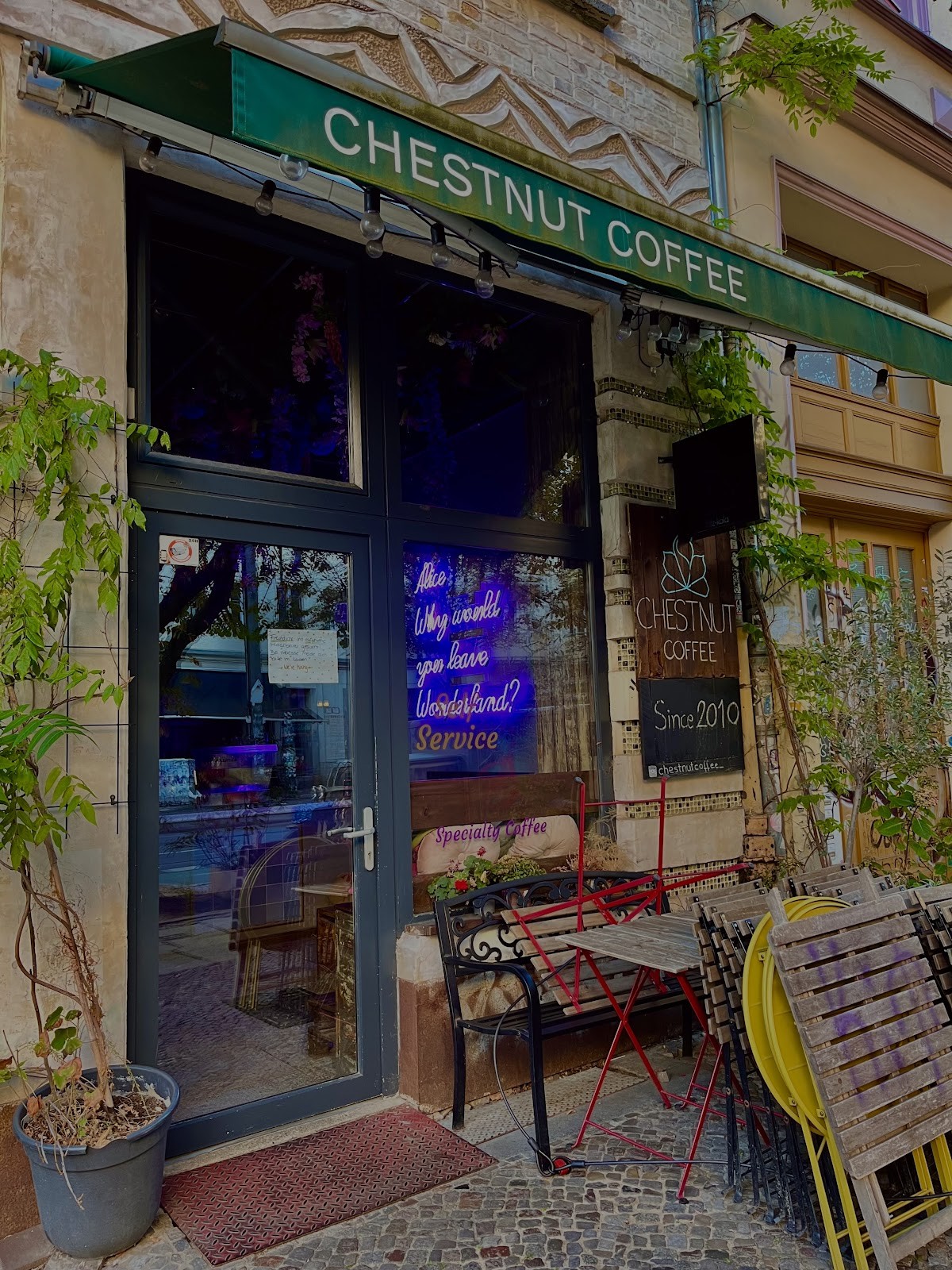 Chestnut Coffee: the place