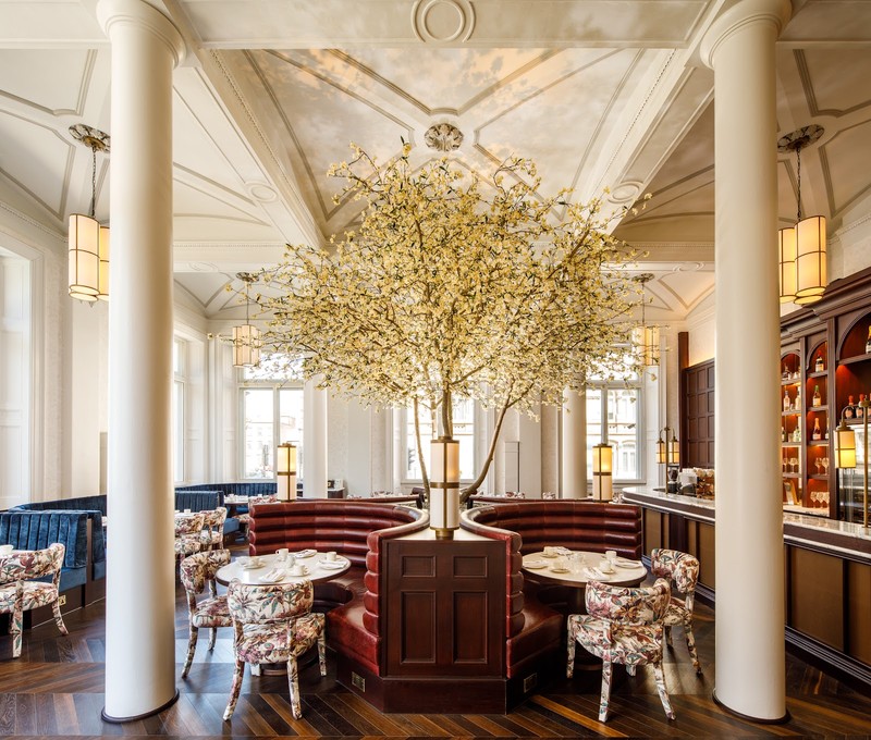 The Botanic Tearoom: photo