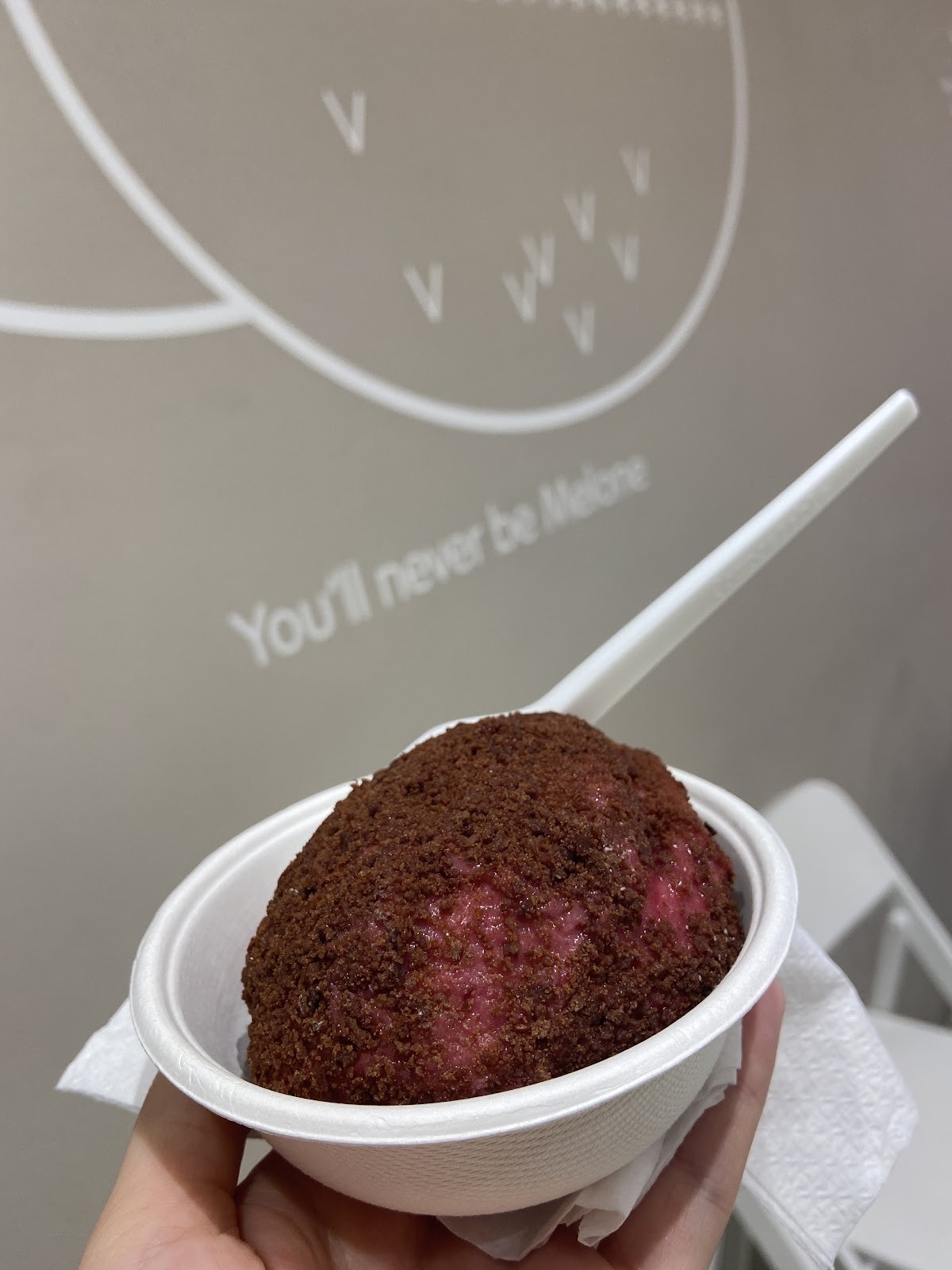 Veganista Ice Cream: food & drinks