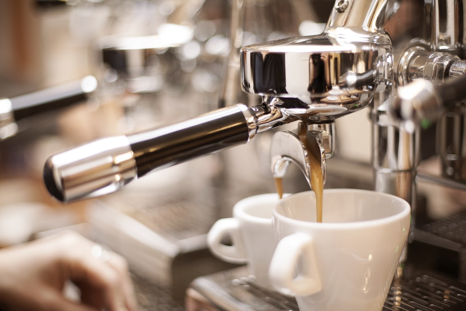 JACKSON Kaffee Werkstatt Rösterei: the place
