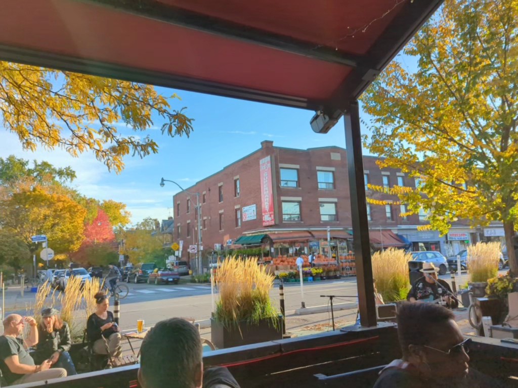 The Wren: the place