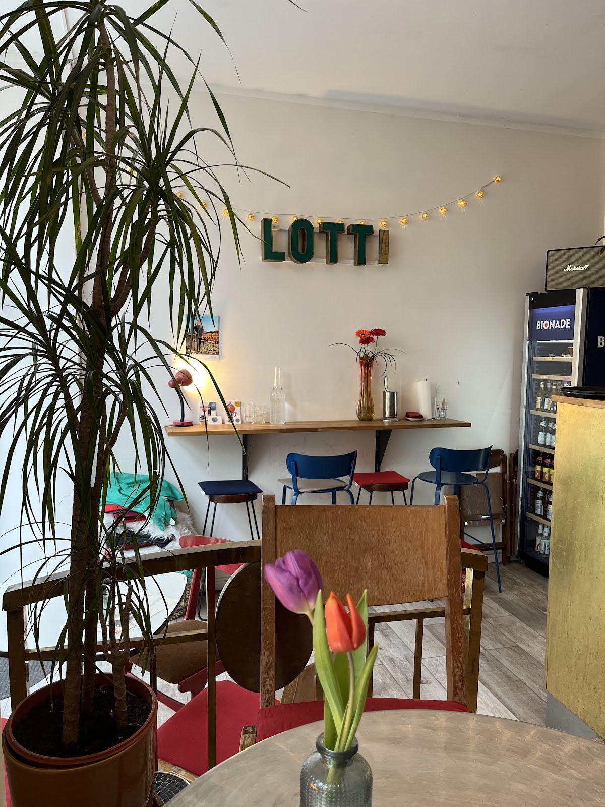 LottiBar: the place