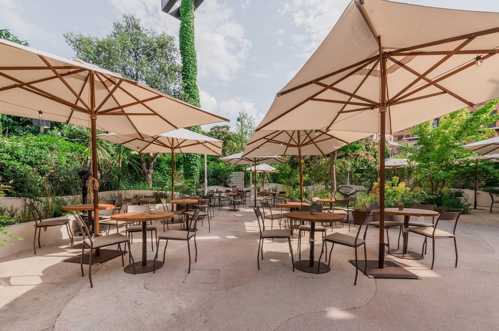Honest Greens Naciones: the place