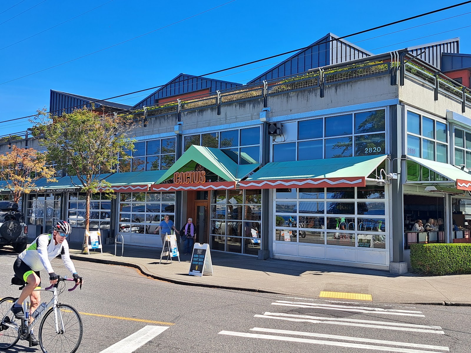 Cactus Alki Beach: the place