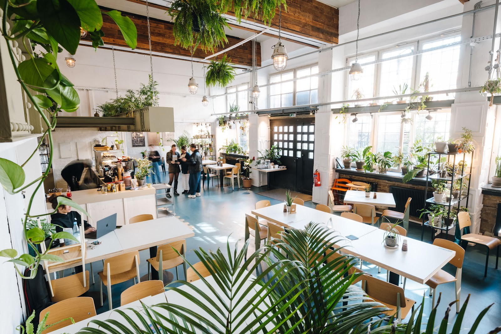 The Greens - Coffee & Plants: the place