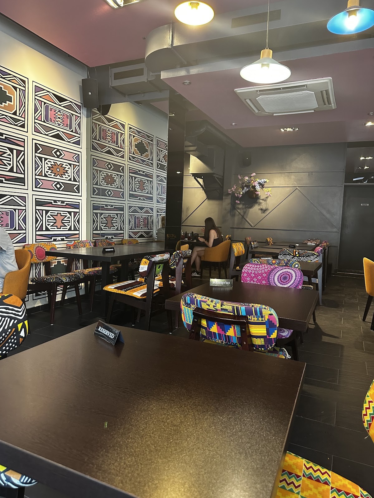 African Violet: the place