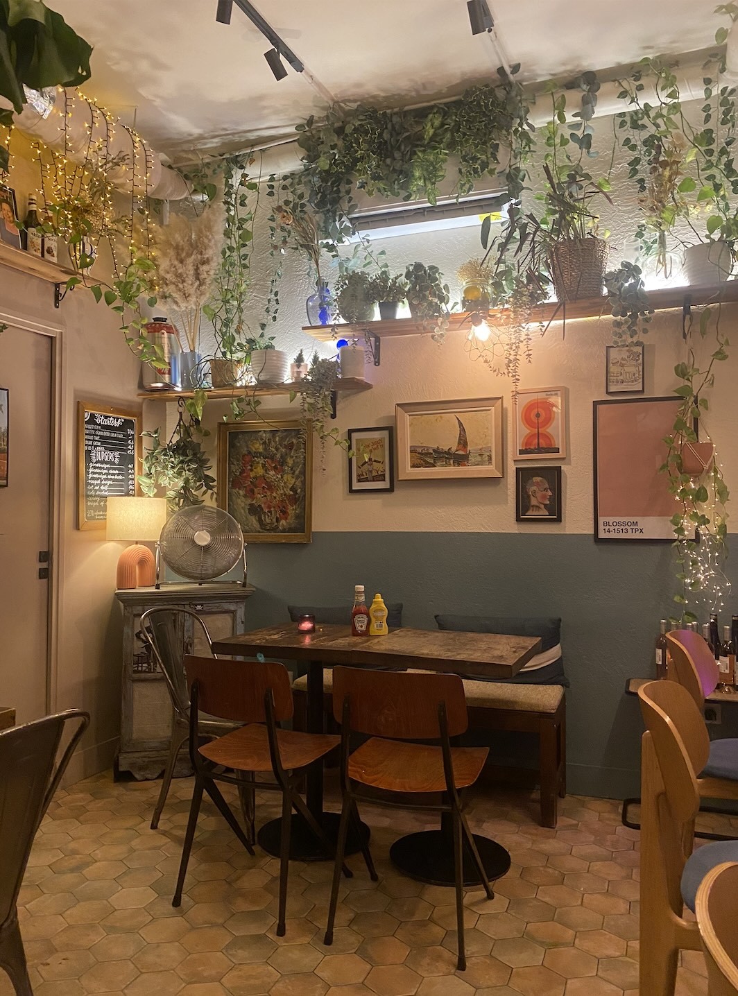 Ginsburger Vegetarian Superstar: the place