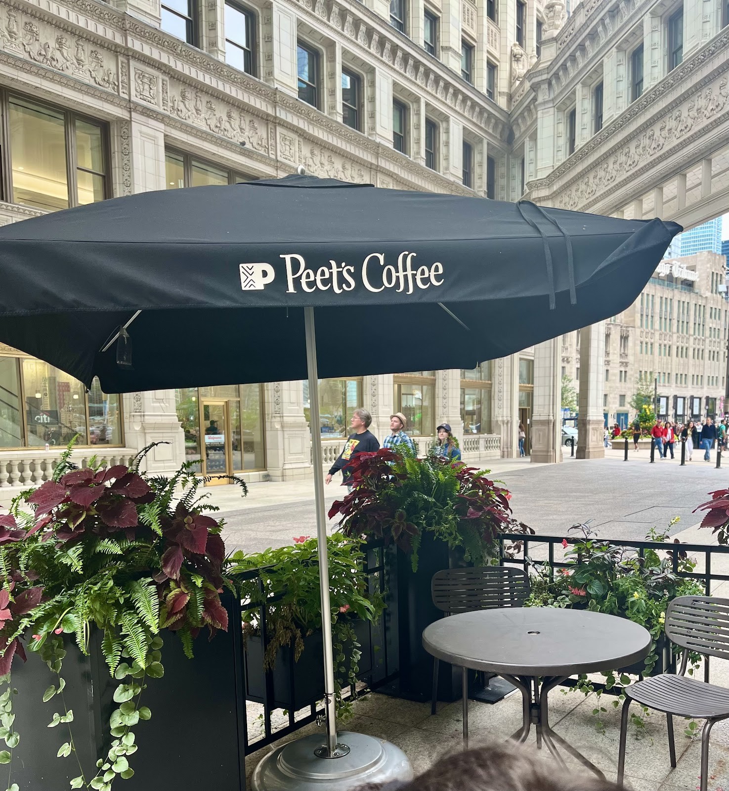 Peet's Coffee: the place
