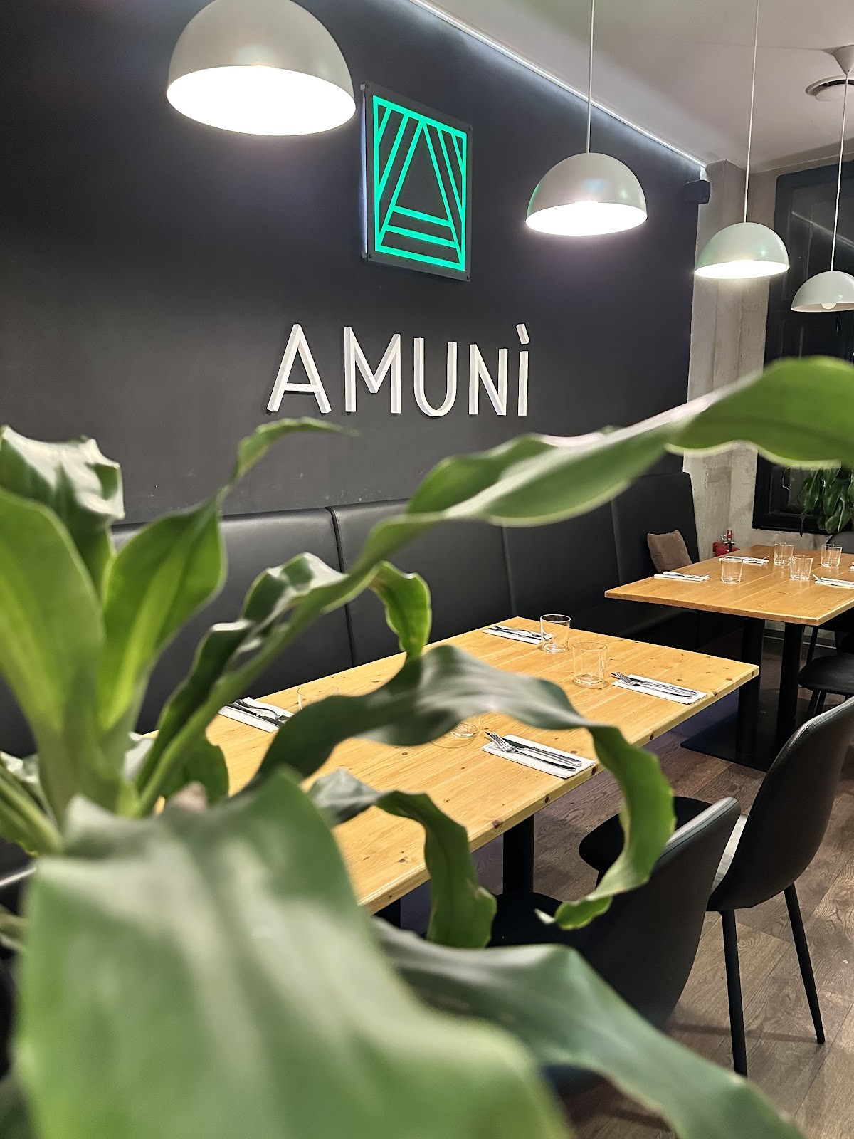 AMUNÌ Pizzeria Vinohrady: the place