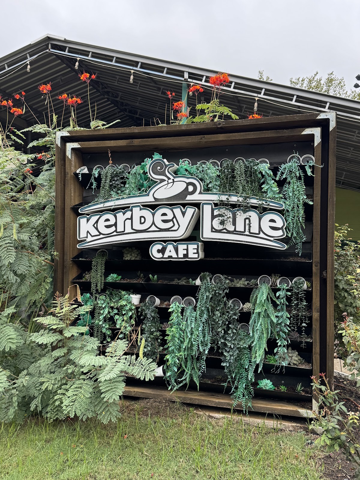 Kerbey Lane Cafe - Central: the place