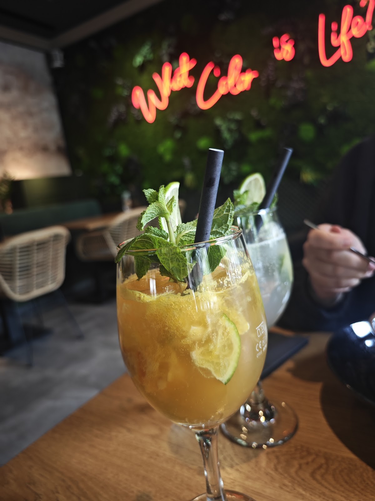 Ginya Veganes Restaurant: food & drinks