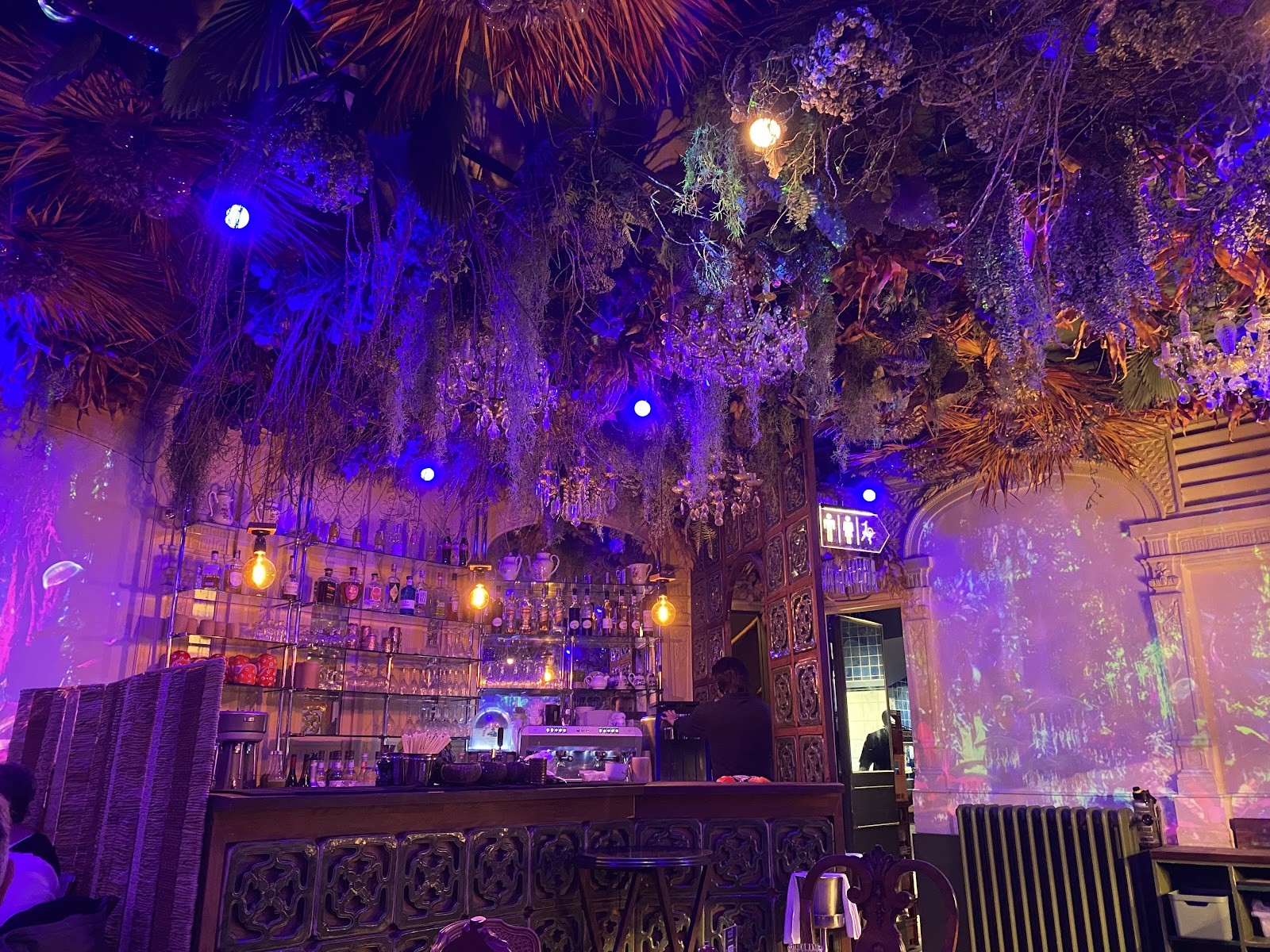Jungle Palace: the place