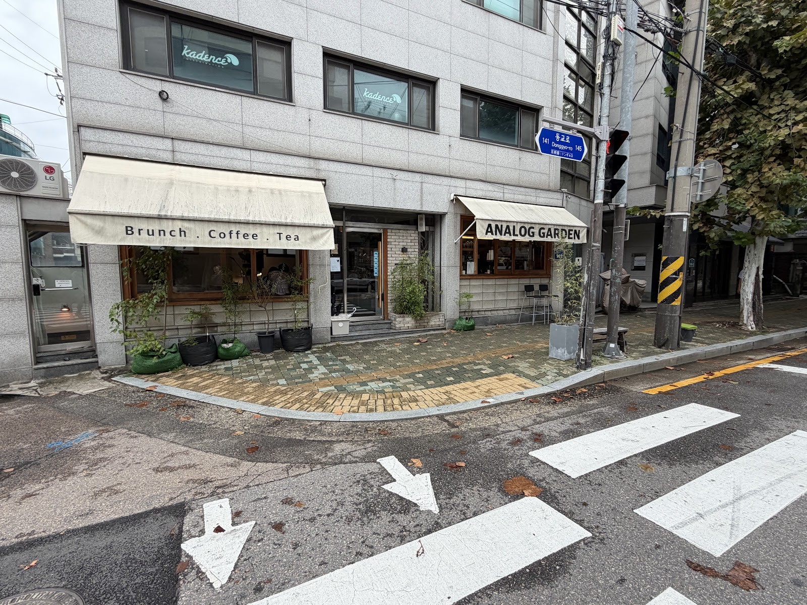 Analog Garden: the place