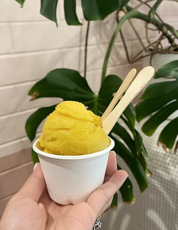 Duck Island Ice Cream: photo