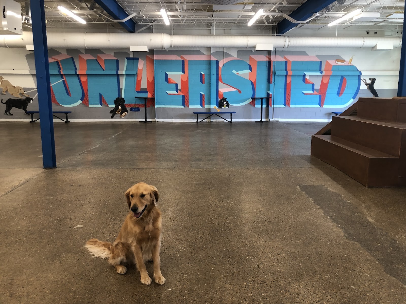 Unleashed Hounds and Hops: the place