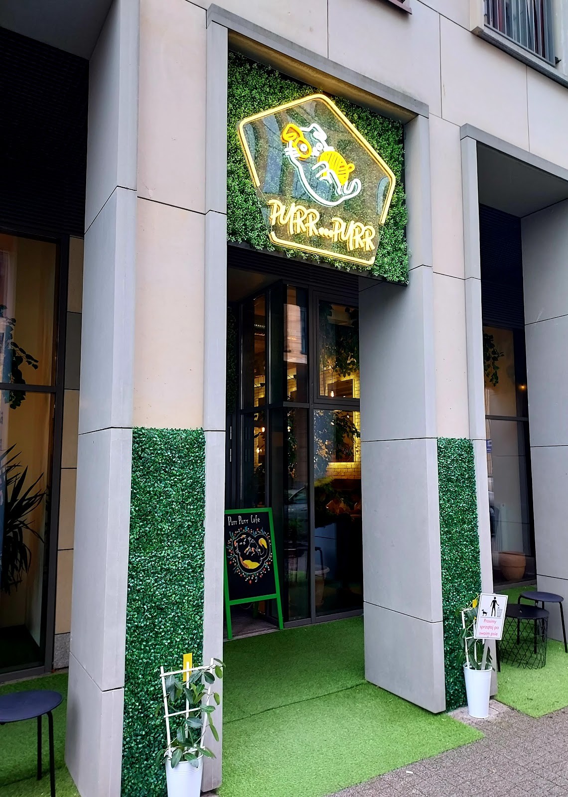 Restauracja Purr Purr (Kocia Strefa od 12 lat): the place