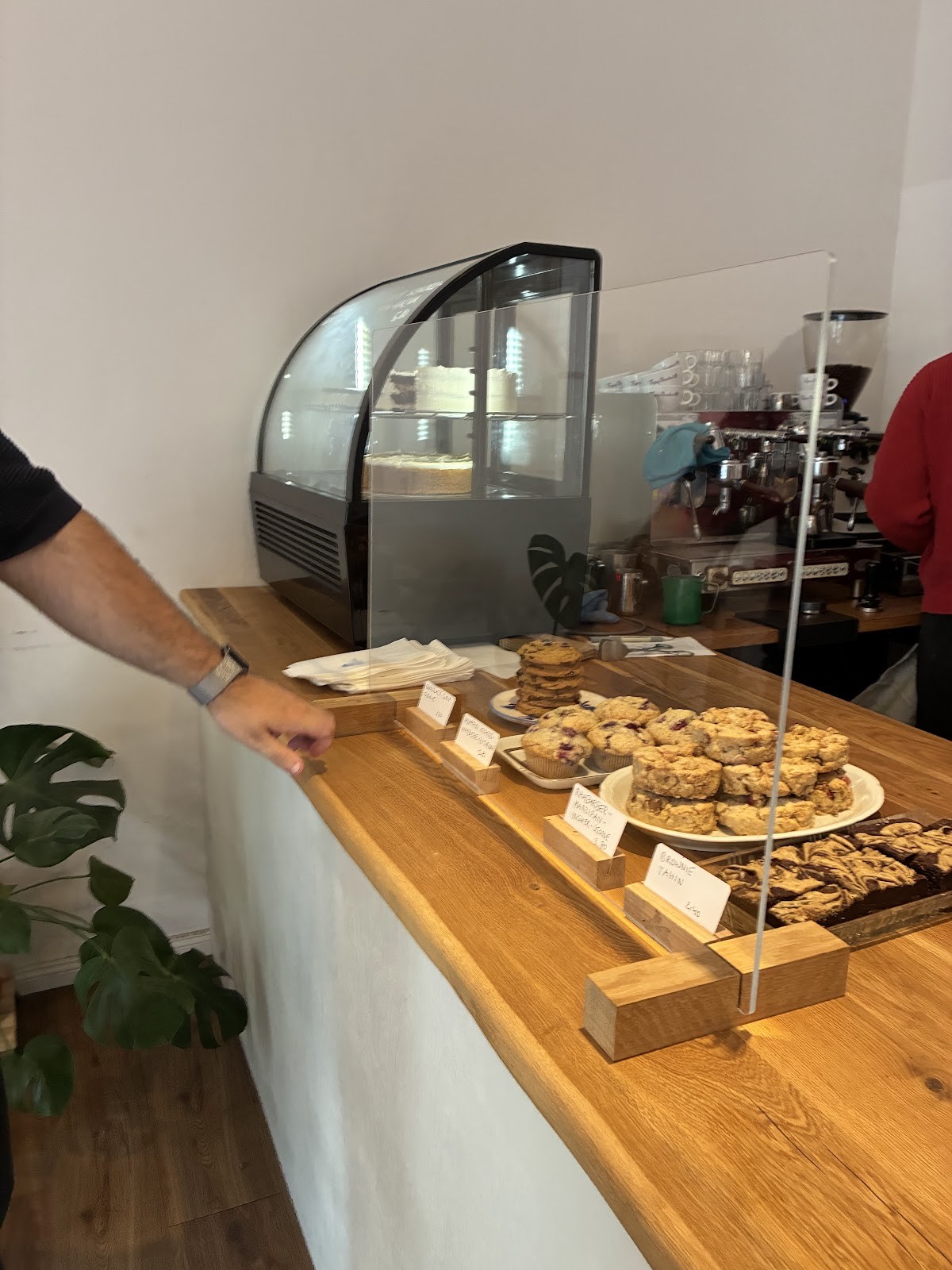 Plants & Flours: the place