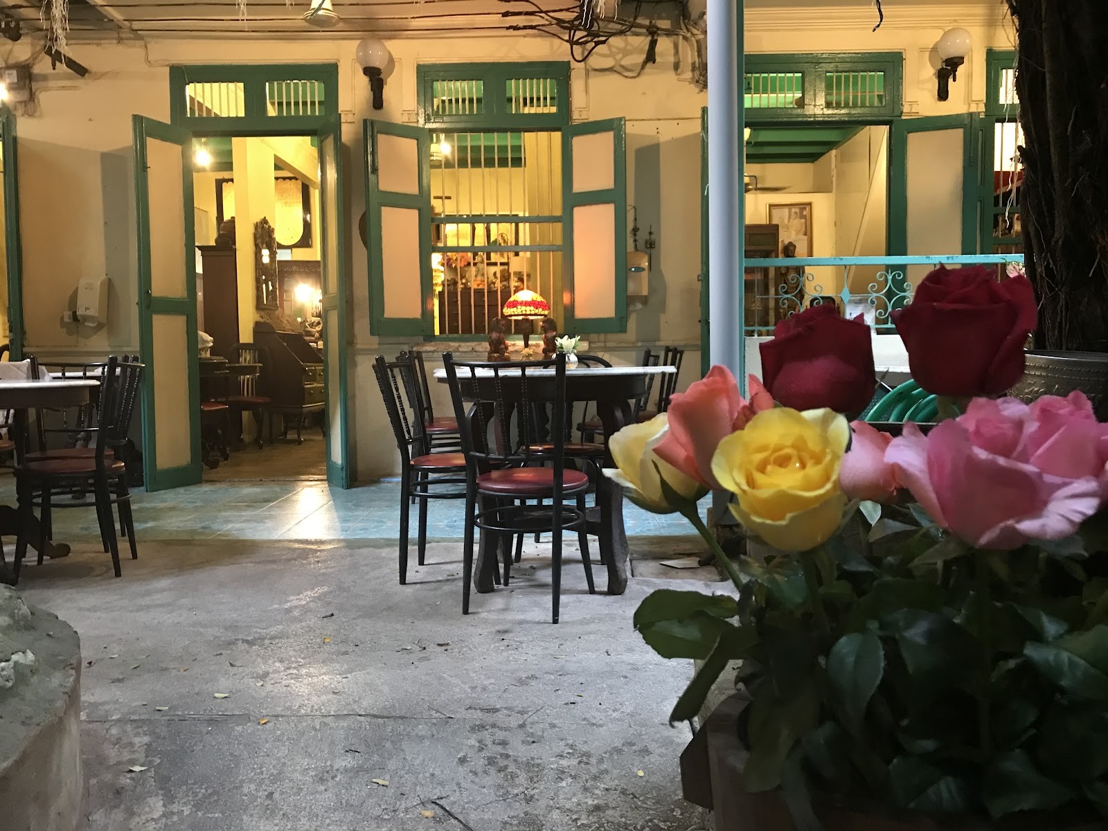 Harmonique: the place