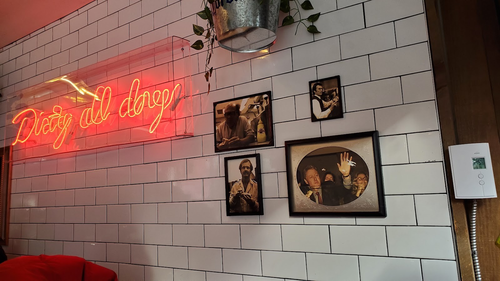 Dirty Dogs: the place
