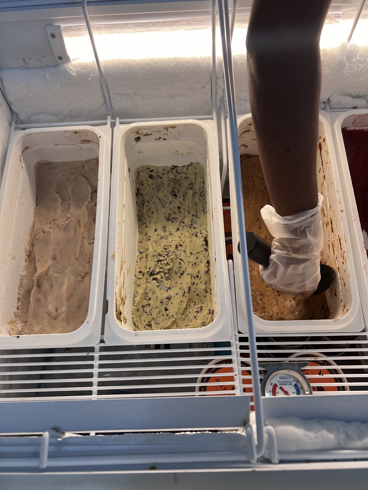 Artiserie Gelato: the place
