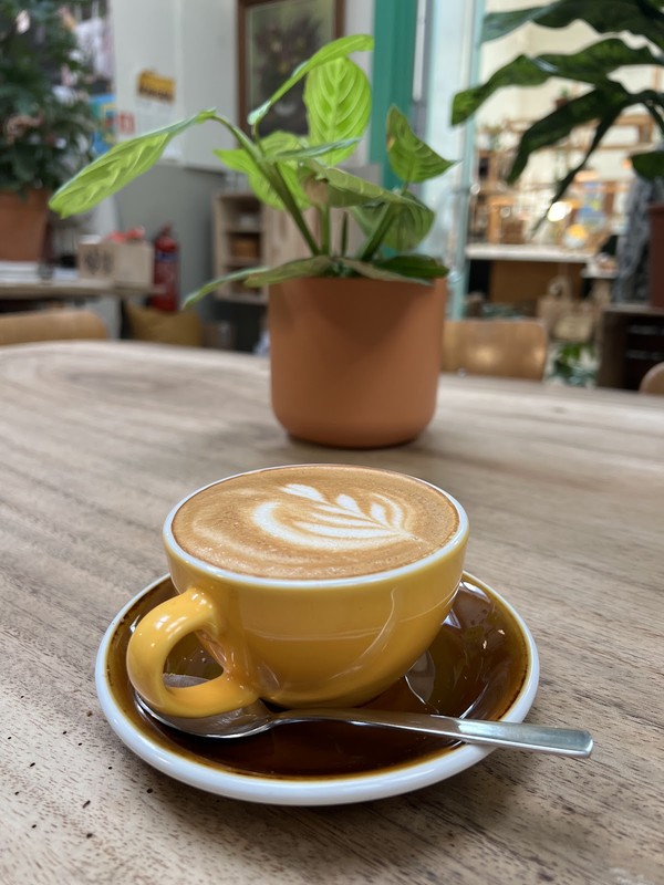 Plantbar Jacqueline: photo