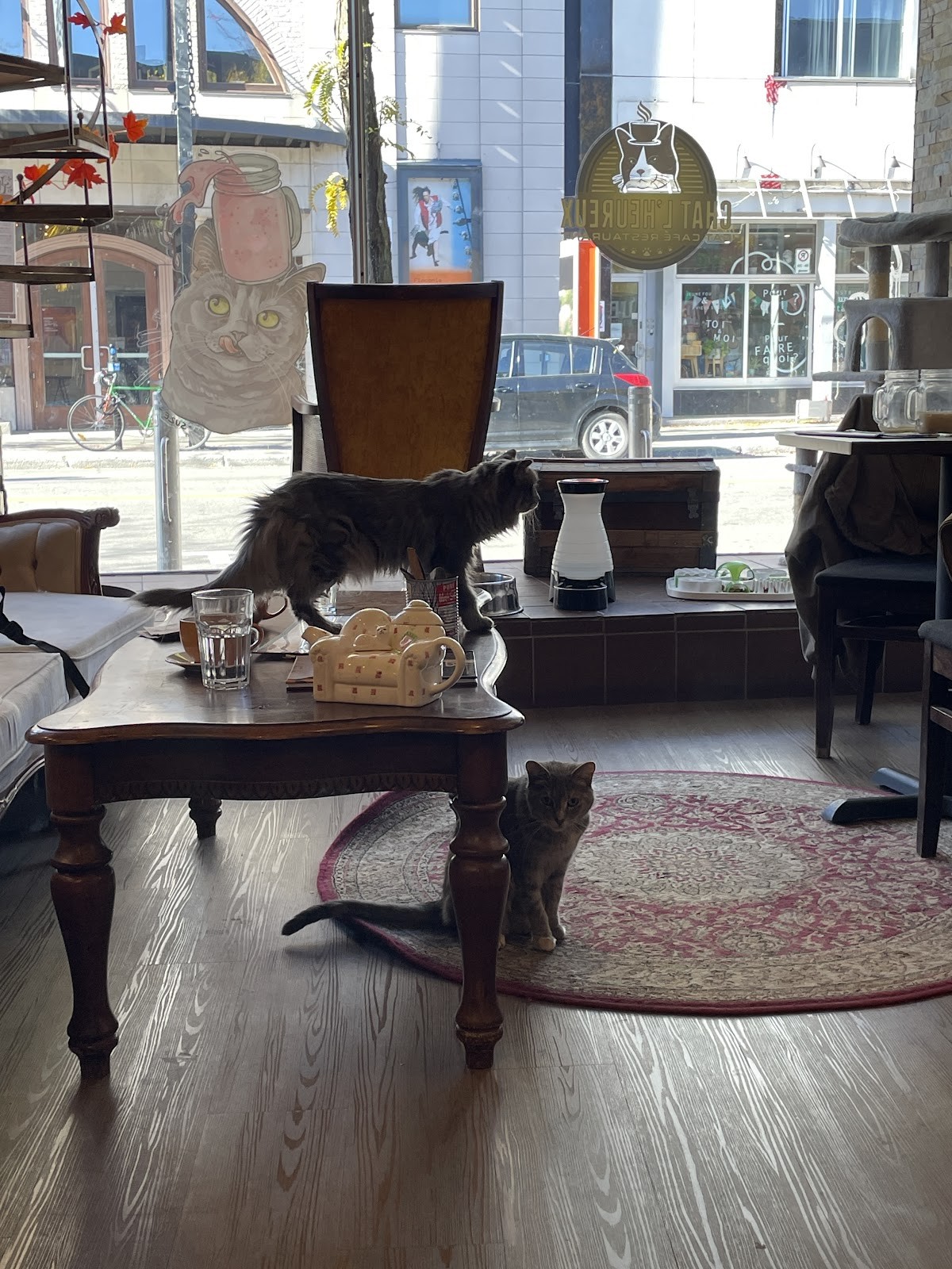 Café Chat L'Heureux: the place