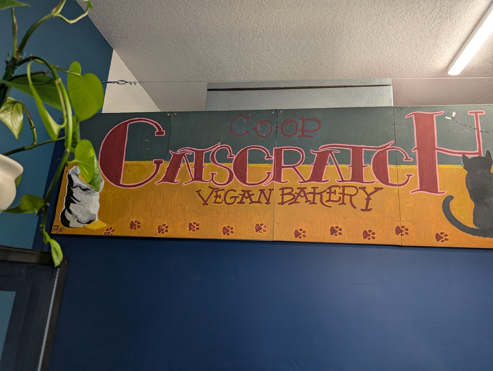 Catscratch Co-op Vegan Bakery: the place