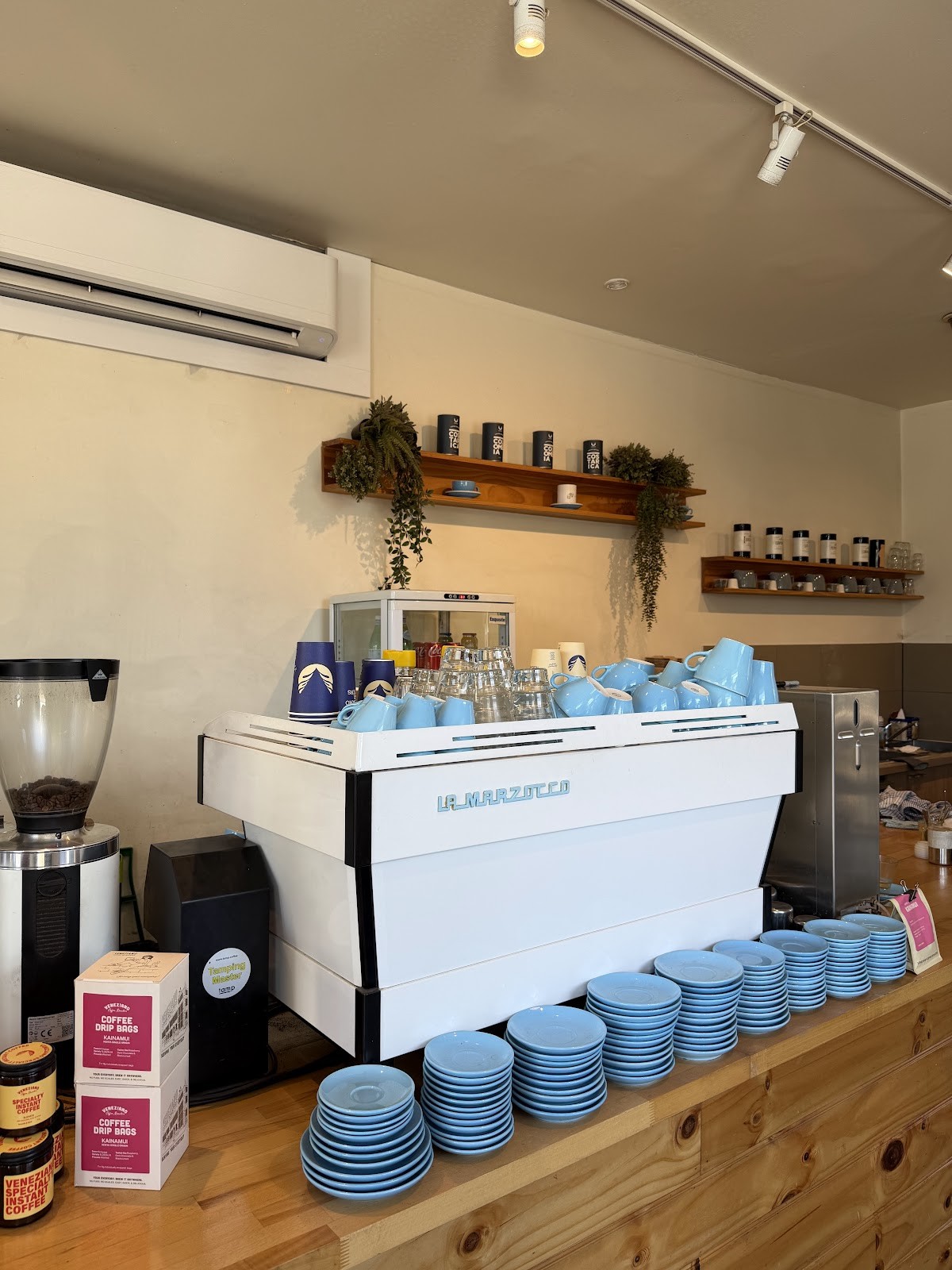 Top Notch Coffee: the place