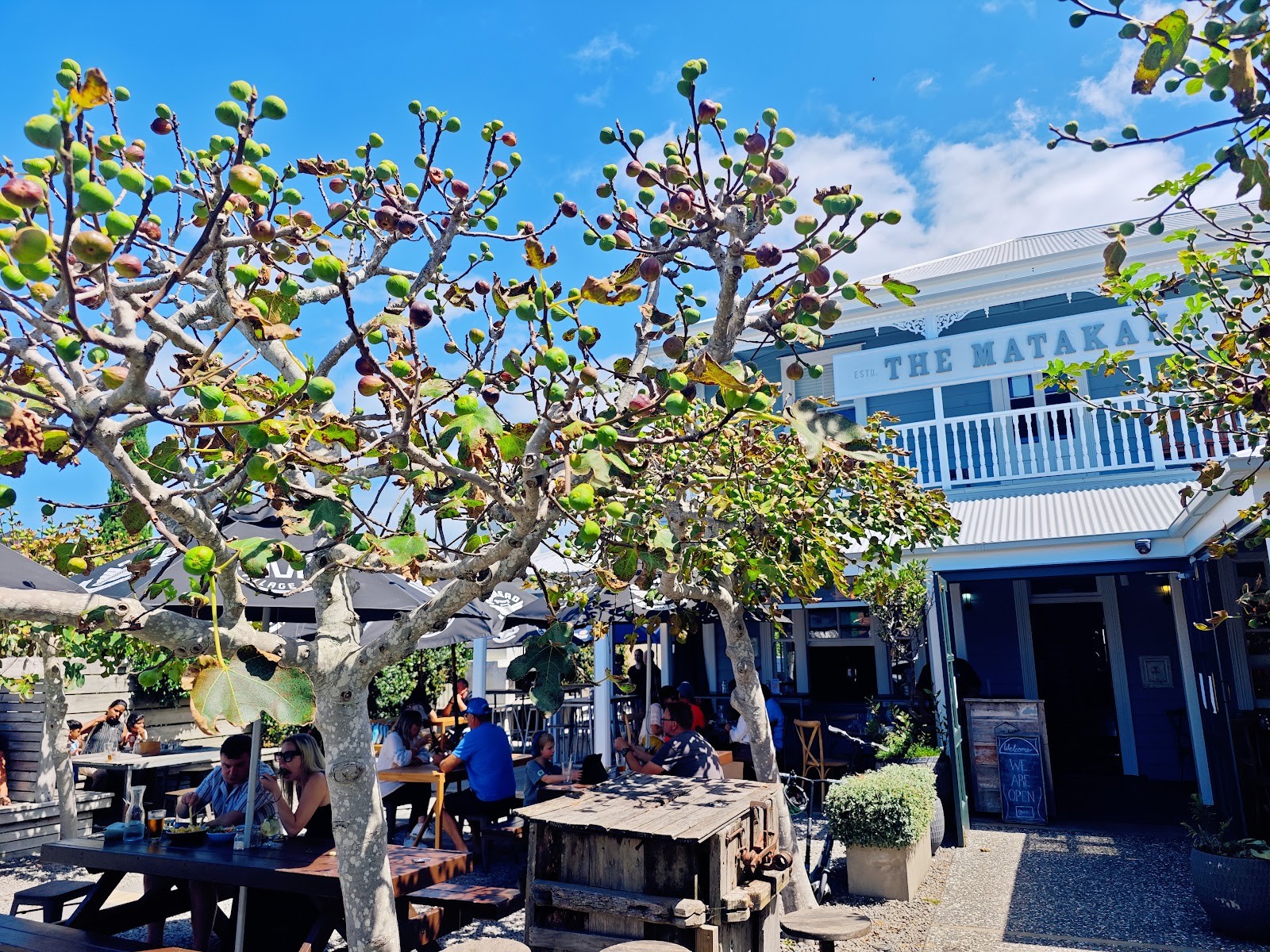 The Matakana Village Pub: the place
