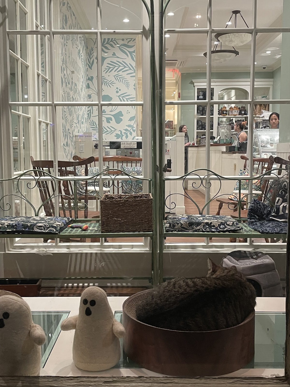A Sanctuary Cafe: the place