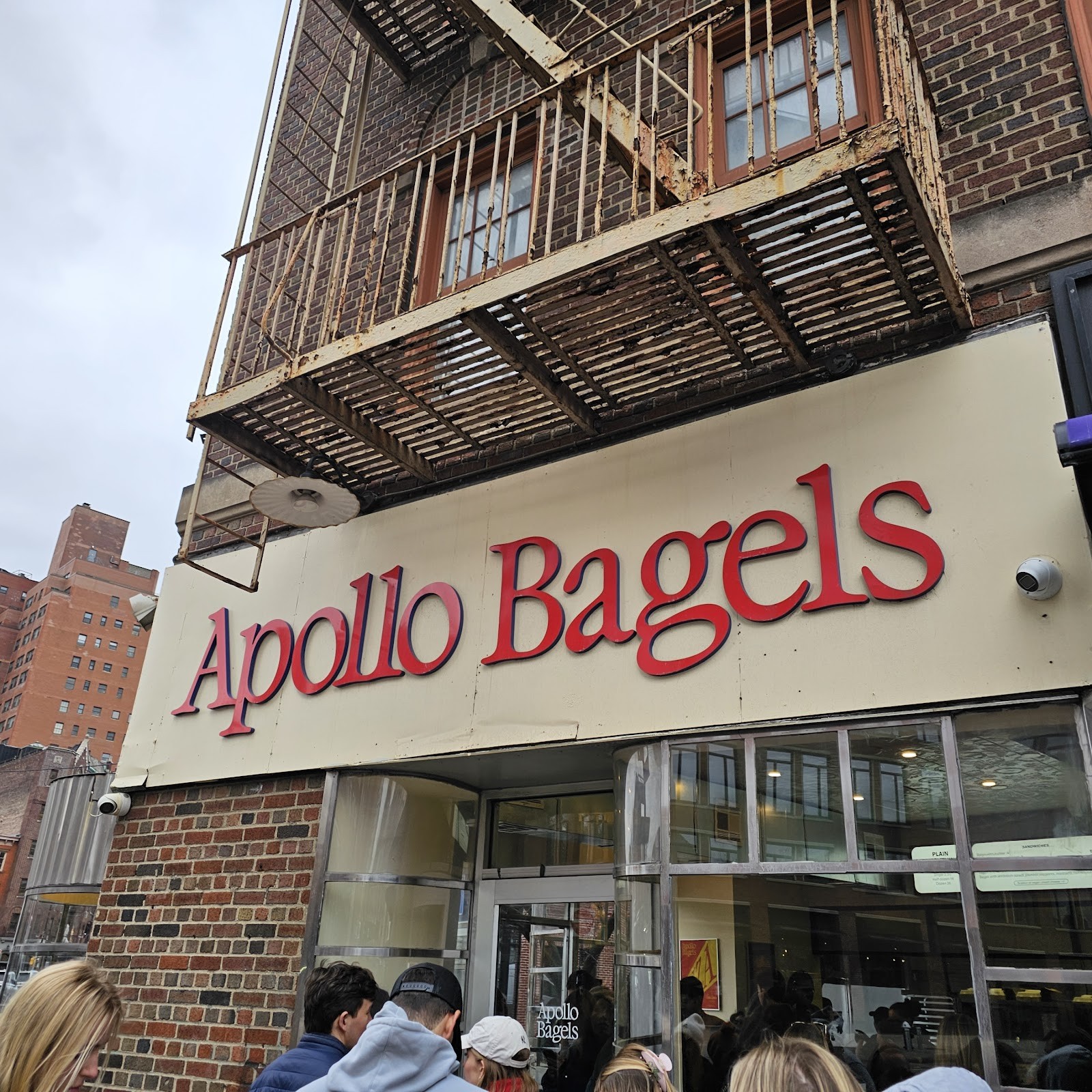 Apollo Bagels: the place