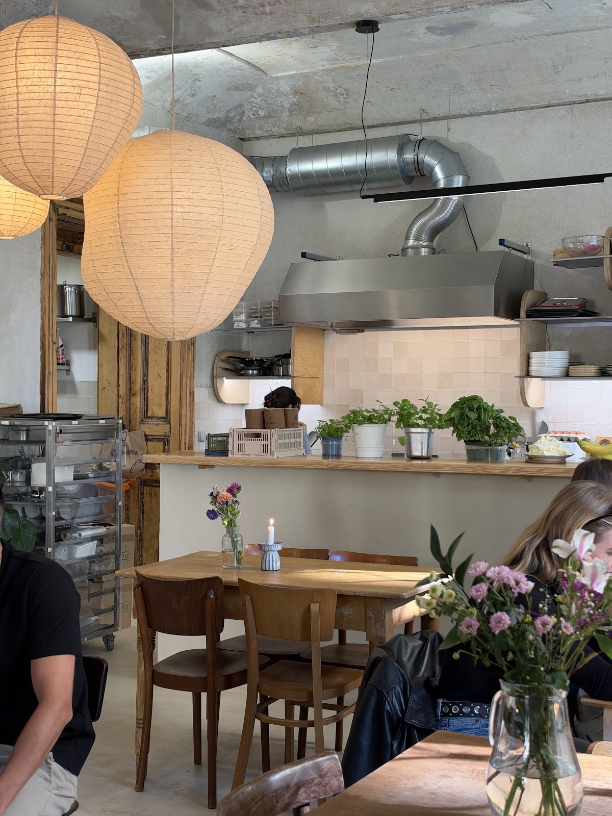 Oak: the place